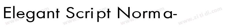 Elegant Script Norma字体转换